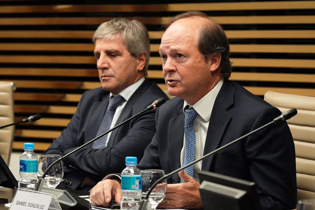 Nueva baja en el Gobierno de Milei: renunció el secretario de Coordinación de Energía y&nbsp;Minería